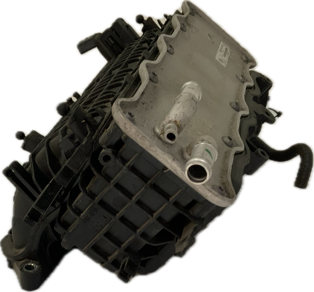 IMG_0910.png