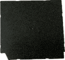 IMG_0803.png