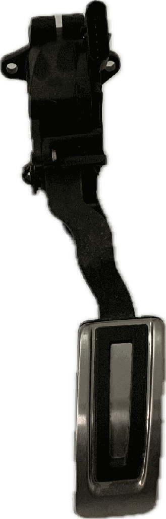 IMG_0691.png