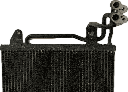 IMG_0855.png