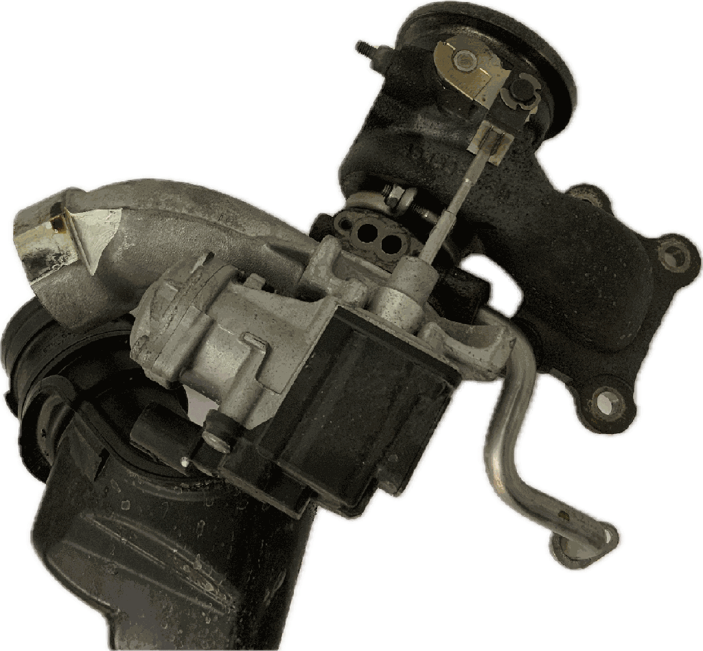 IMG_0883.png