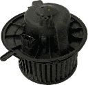 IMG_1151.png