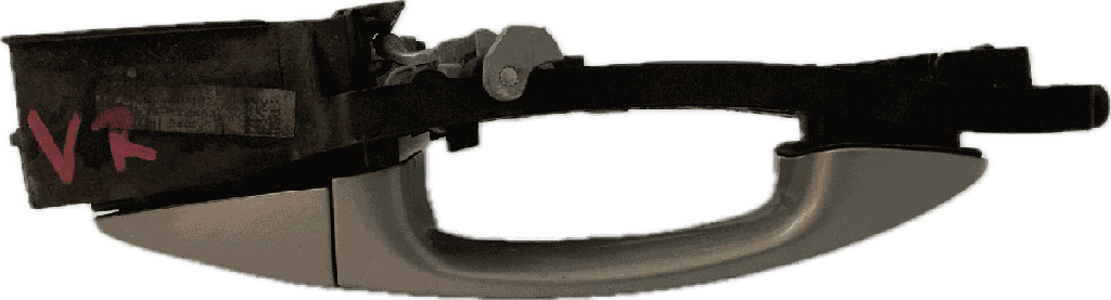 IMG_1963.png