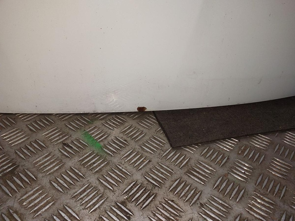 20251015_140753.jpg