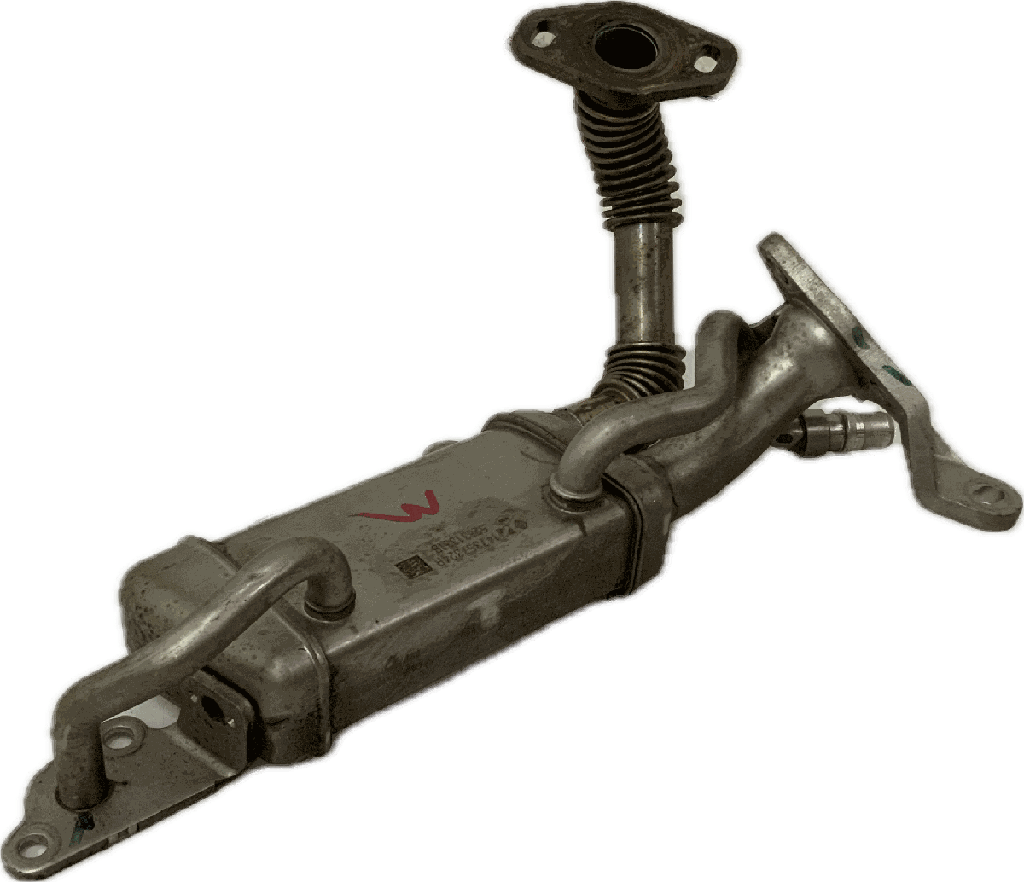 IMG_2432.png