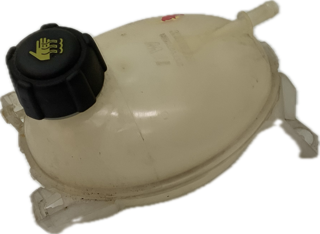 IMG_2567.png