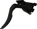 IMG_2680.png