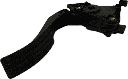 IMG_2679.png