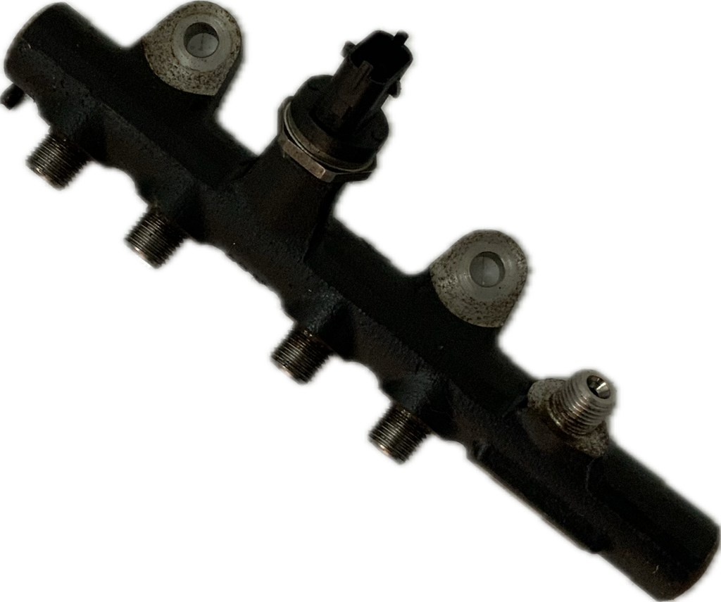 IMG_2545.png