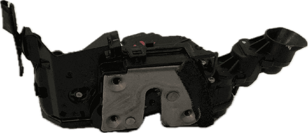 IMG_2505.png