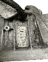 IMG_2821.png