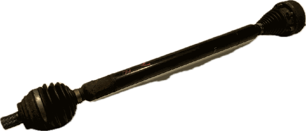 IMG_3230.png