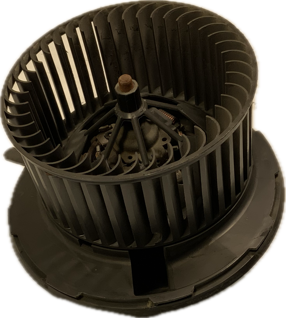 IMG_3085.png