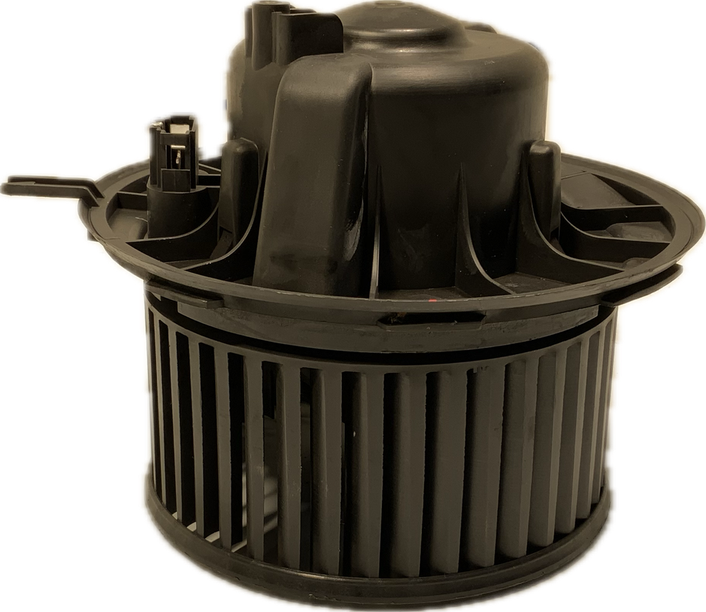 IMG_3084.png