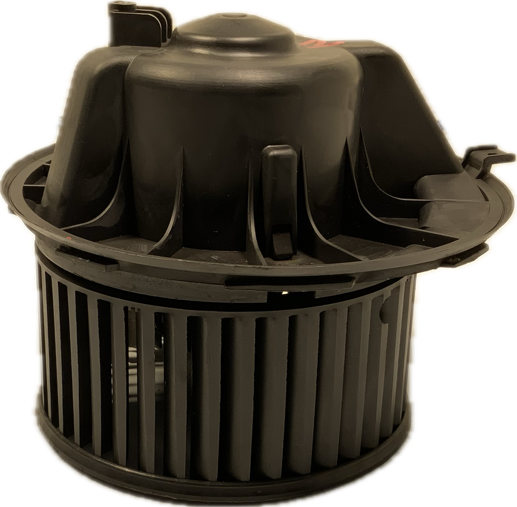 IMG_3083.png