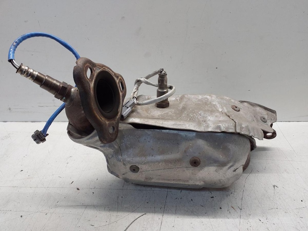 20251112_095635.jpg