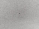 20251113_134309.jpg