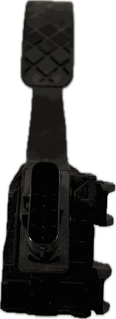 IMG_6161.png