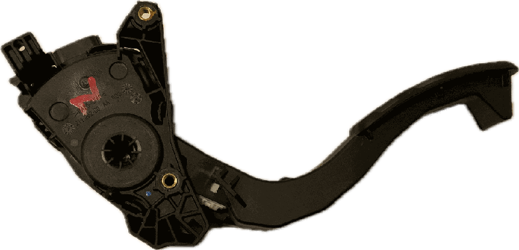 IMG_3990.png