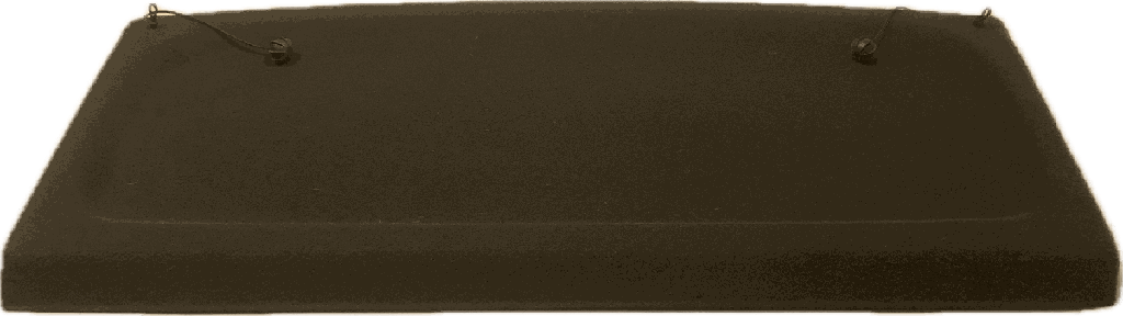 IMG_4464.png