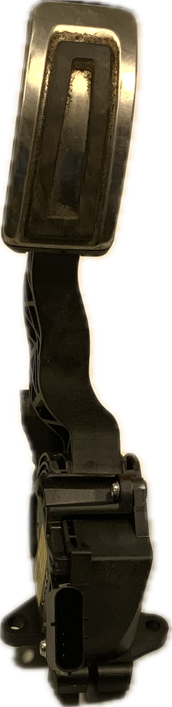 IMG_4572.png