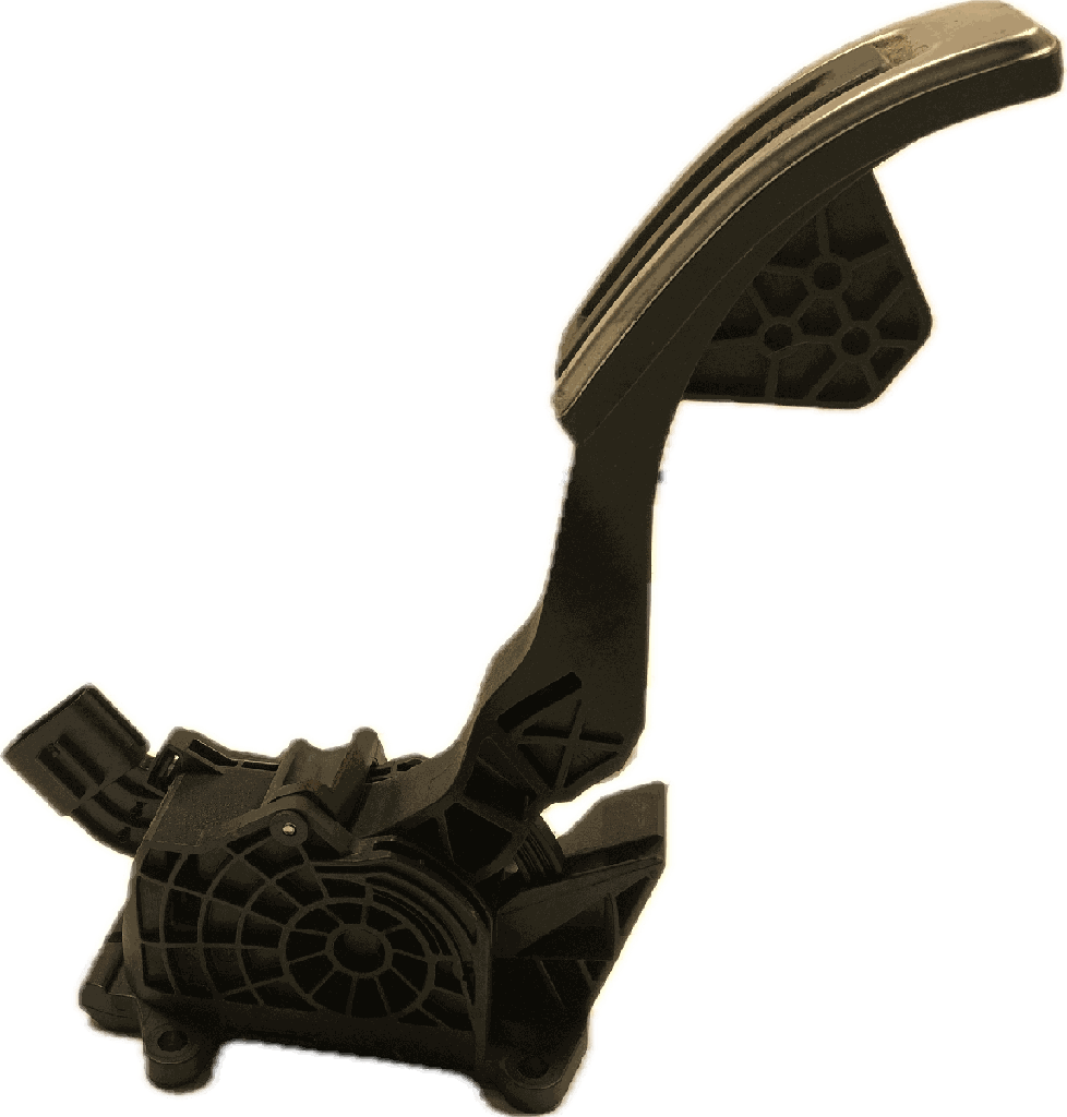 IMG_4570.png