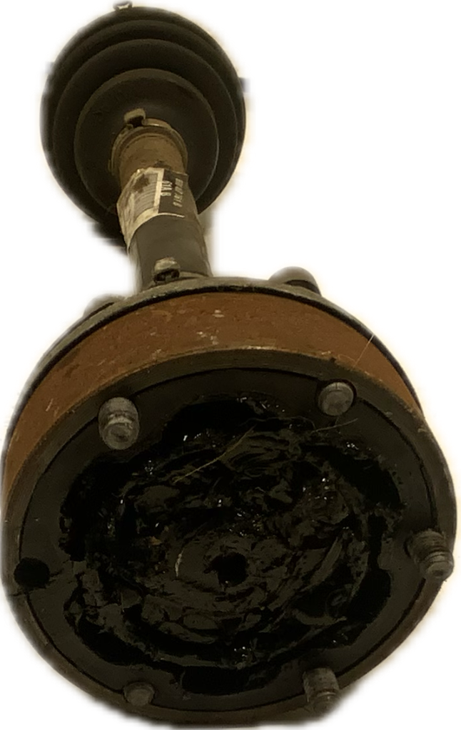 IMG_4628.png
