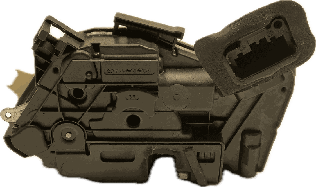 IMG_4557.png
