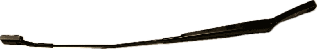 IMG_4705.png
