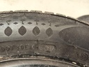 IMG_20251124_125004.jpg