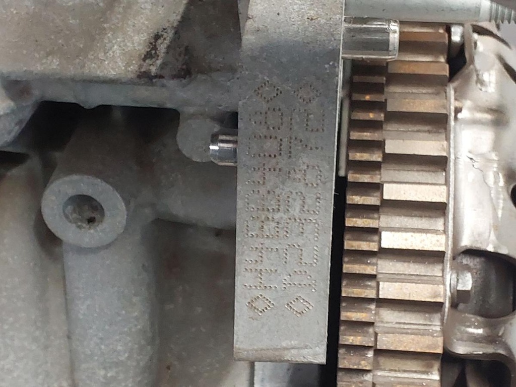 20251124_121155.jpg