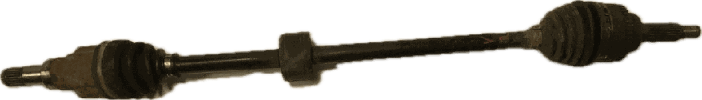 IMG_5147.png