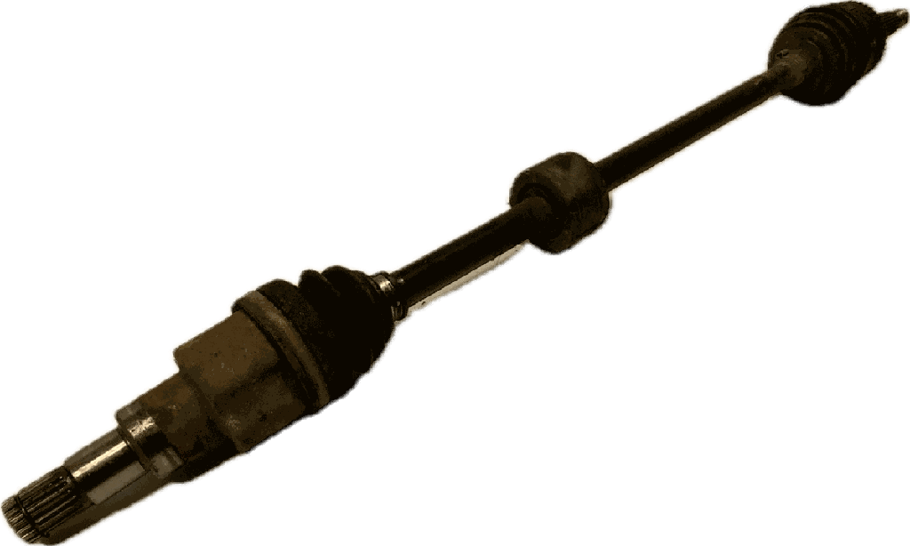 IMG_5145.png