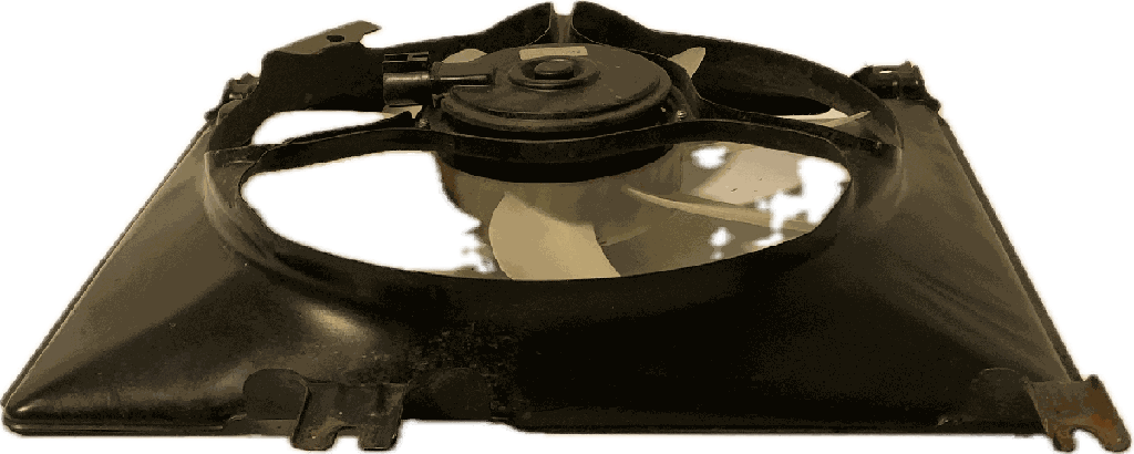 IMG_5081.png