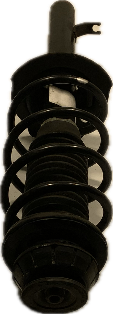 IMG_5646.png