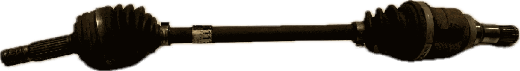 IMG_5649.png