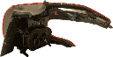 IMG_5953.png