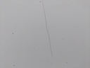 IMG_20251128_114228.jpg