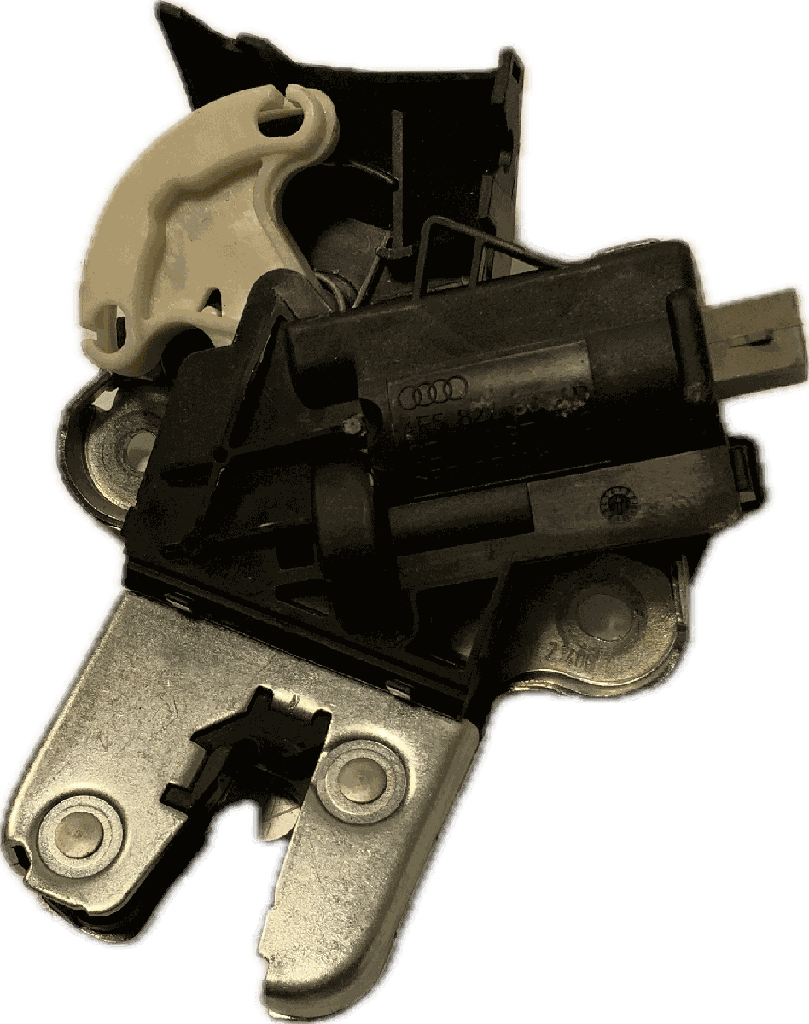IMG_6388.png