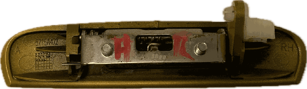 IMG_6915.png