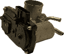 IMG_6870.png