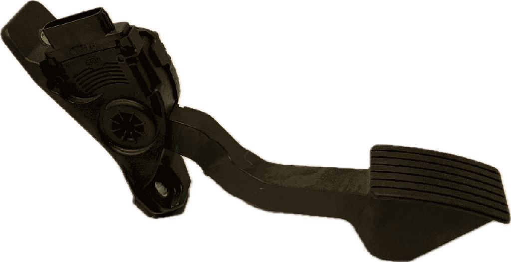 IMG_6894.png