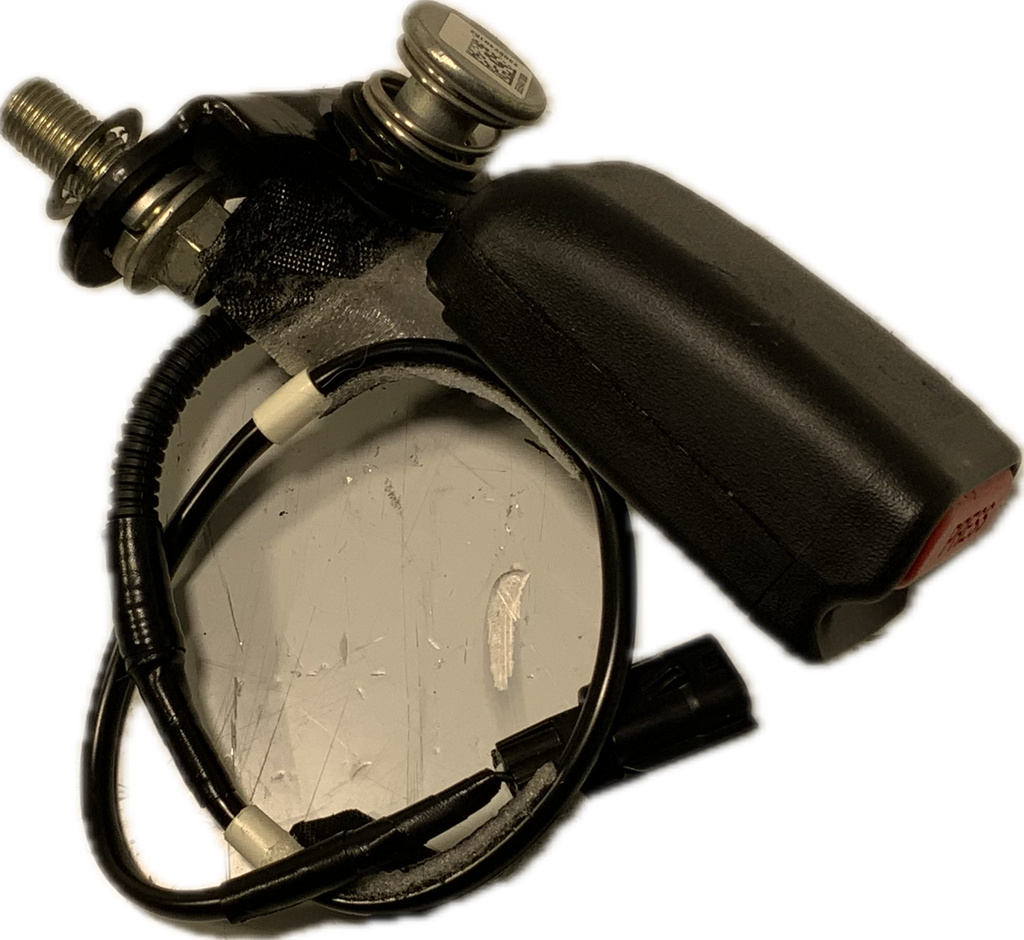 IMG_6845.png
