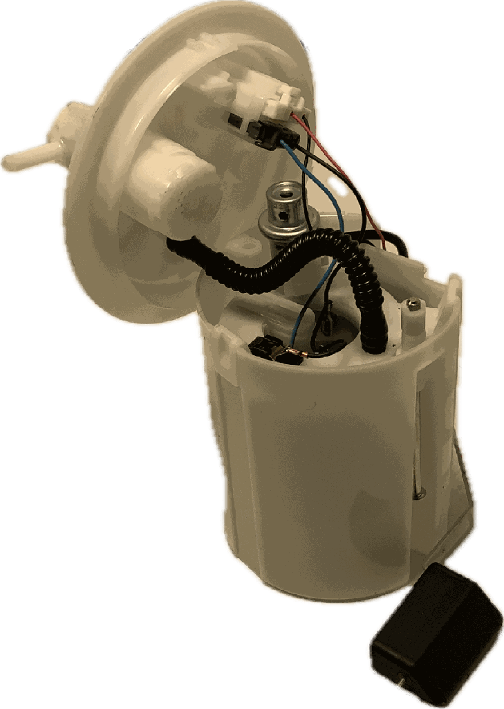 IMG_6874.png