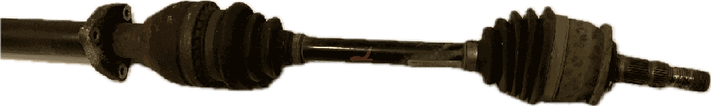 IMG_7483.png