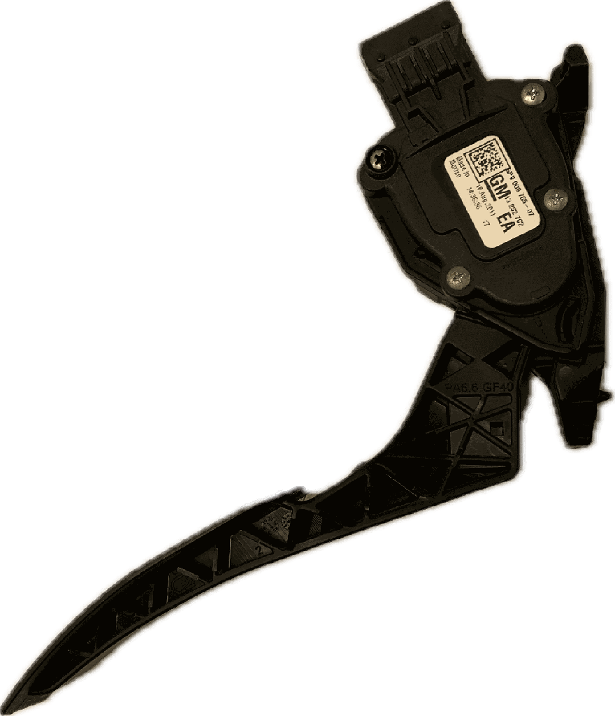 IMG_7336.png