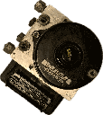 IMG_7385.png