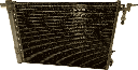 IMG_7439.png