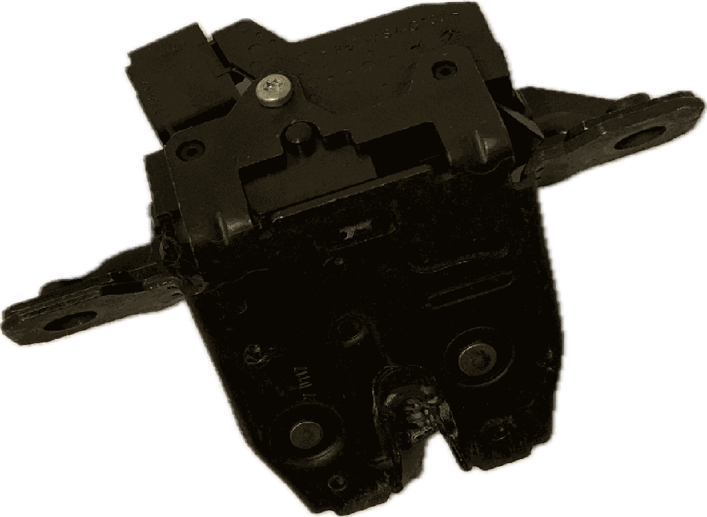 IMG_7342.png