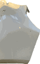 IMG_7516.png